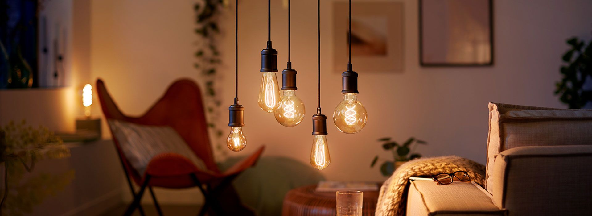 DECORATIVE LED BULBS